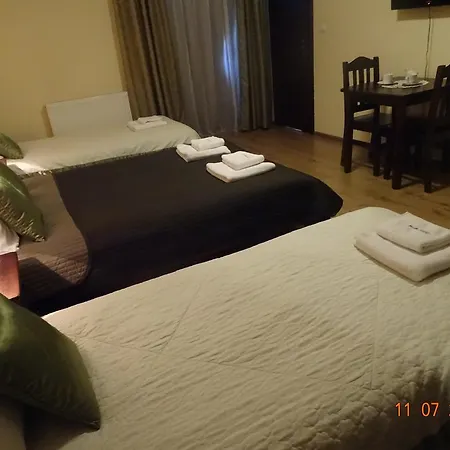 招待所 Zlotyogrod 威利兹卡